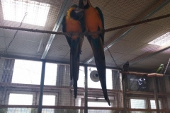 IMG_20211120_092124