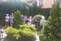IMG_20220623_110847