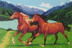 konie