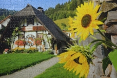 puzzle-sloneczniki
